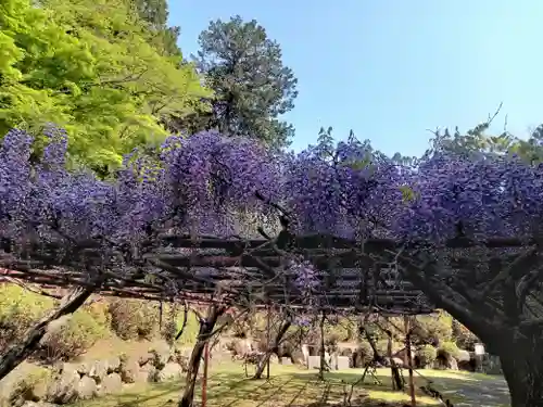 石山寺(滋賀県)