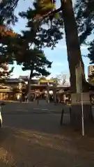 龍城神社の自然