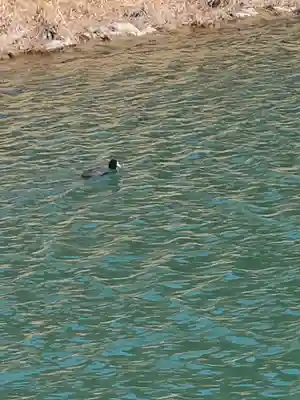 岩倉神社(栃木県)