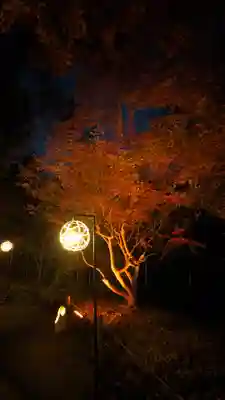 賀茂御祖神社（下鴨神社）(京都府)
