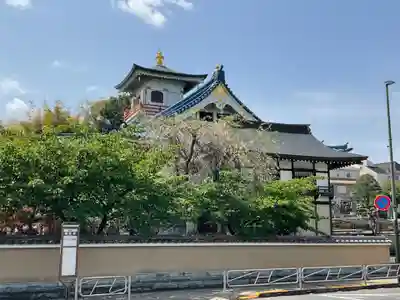 信松院の本殿・本堂