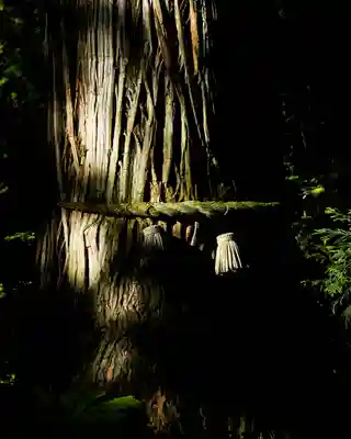 戸隠神社奥社(長野県)