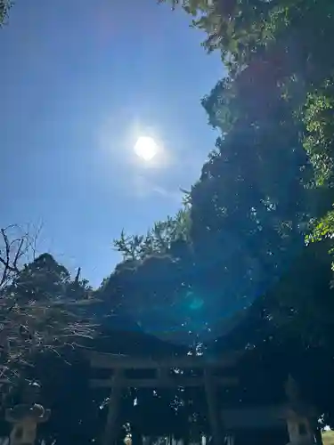 雀神社(茨城県)