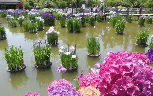 太宰府天満宮の庭園