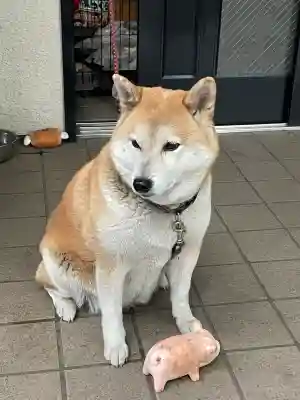 笠䅣稲荷神社(神奈川県)