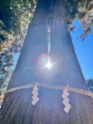 高司神社〜むすびの神の鎮まる社〜(福島県)