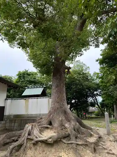 大鳥北濵神社(大阪府)