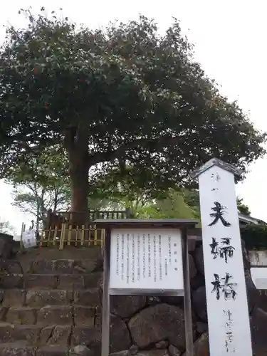 八重垣神社の庭園