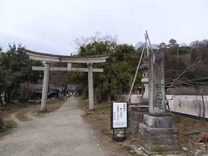 柳廼社(福井県)
