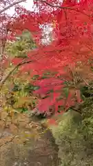 鍬山神社(京都府)