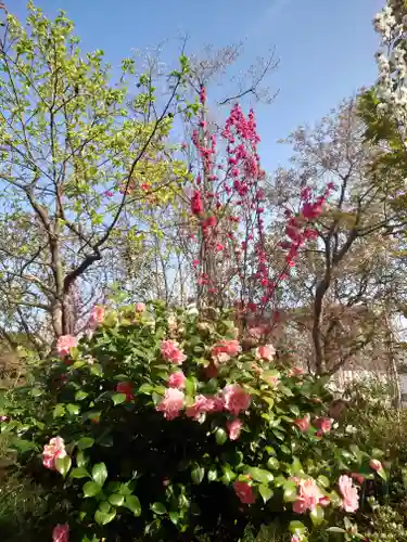 常泉寺(神奈川県)