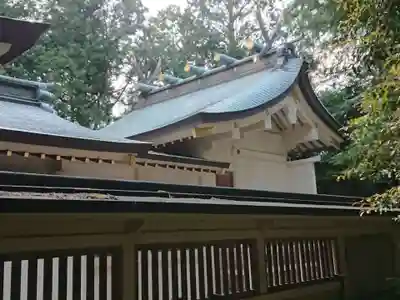 貴船神社(東保見町)の本殿・本堂