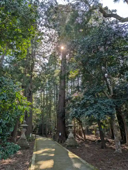 若狭彦神社(上社)の{uncategorized: "未分類", other: "その他", undefined: "問題あり", building: "その他建物", grave: "お墓", sacred_gate: "鳥居", guardian: "狛犬", statue: "像", buddha: "仏像", history: "歴史", nature: "自然", garden: "庭園", animal: "動物", pagoda: "塔", temizu: "手水舎", mountain_gate: "山門・神門", sanctuary: "本殿・本堂", subordinate: "末社・摂社", art: "芸術", scenery: "景色", jizo: "地蔵", ema: "絵馬", goshuin: "御朱印", omikuji: "おみくじ", items: "授与品その他", amulet: "お守り", goshuincho: "御朱印帳", eats: "食事", festival: "お祭り", votive_dance: "神楽", shichigosan: "七五三参", wedding: "結婚式", experience: "体験その他", initially: "初詣", around: "周辺", anti_infection: "感染症対策"}