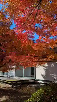 宇治上神社の周辺