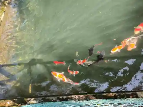 天鷹神社(岐阜県)
