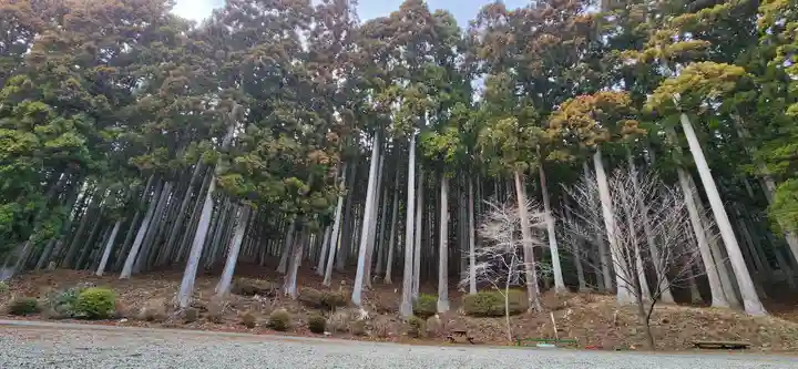 太白山生出森八幡神社(岳宮)の自然