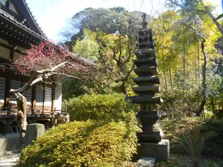安國論寺(安国論寺)の庭園