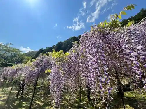 天台宗 五大山 白毫寺(兵庫県)