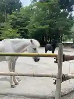 丹生川上神社(下社)(奈良県)