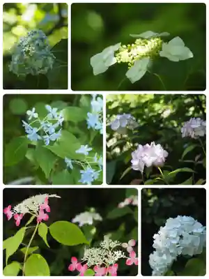 光則寺(神奈川県)