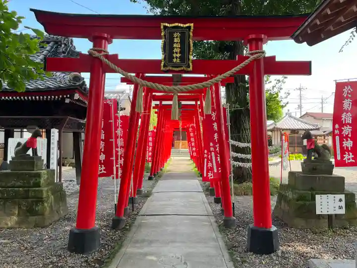 於菊稲荷神社(群馬県)
