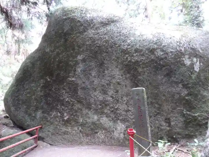名草厳島神社の自然