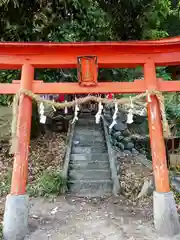 諏訪神社(埼玉県)