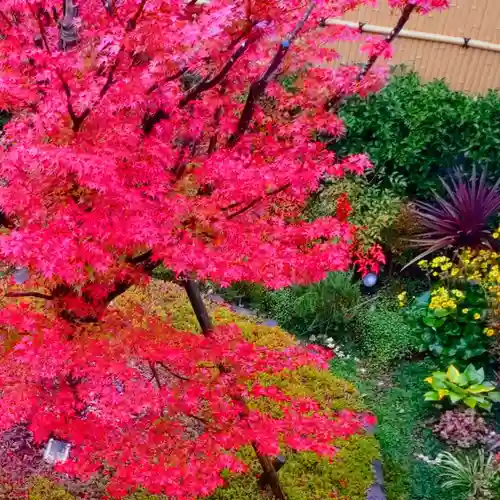 寿量山　速成寺の自然