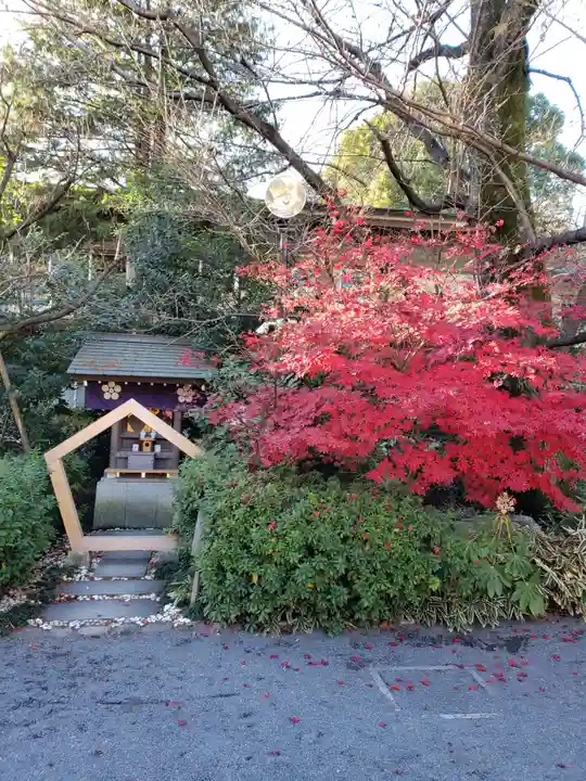 阿佐ヶ谷神明宮(東京都)