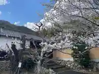 勝持寺(花の寺)(京都府)