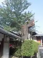 神鳥前川神社の自然