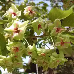 松應寺の自然