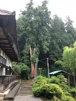 大中寺(栃木県)