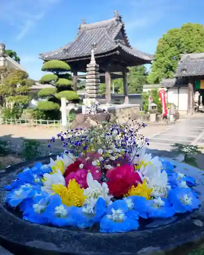 真言宗　善通寺派　薬王寺の手水