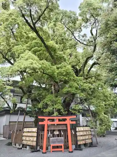 富知六所浅間神社(静岡県)