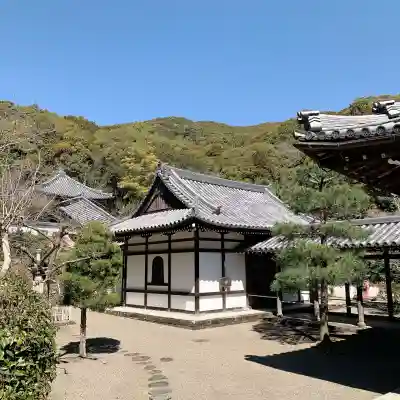 興国寺の{uncategorized: "未分類", other: "その他", undefined: "問題あり", building: "その他建物", grave: "お墓", sacred_gate: "鳥居", guardian: "狛犬", statue: "像", buddha: "仏像", history: "歴史", nature: "自然", garden: "庭園", animal: "動物", pagoda: "塔", temizu: "手水舎", mountain_gate: "山門・神門", sanctuary: "本殿・本堂", subordinate: "末社・摂社", art: "芸術", scenery: "景色", jizo: "地蔵", ema: "絵馬", goshuin: "御朱印", omikuji: "おみくじ", items: "授与品その他", amulet: "お守り", goshuincho: "御朱印帳", eats: "食事", festival: "お祭り", votive_dance: "神楽", shichigosan: "七五三参", wedding: "結婚式", experience: "体験その他", initially: "初詣", around: "周辺", anti_infection: "感染症対策"}