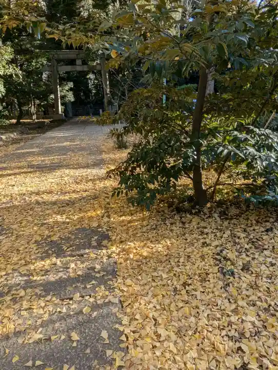 赤坂氷川神社(東京都)