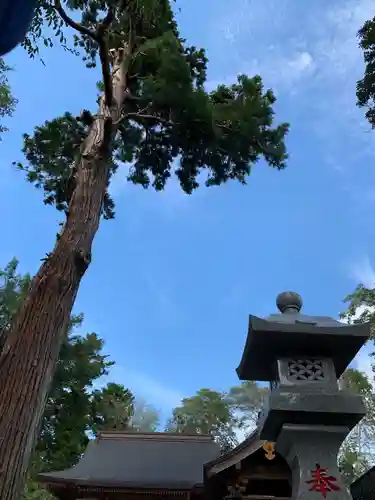 熊野神社の自然