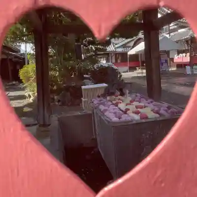 柳谷観音　楊谷寺(京都府)