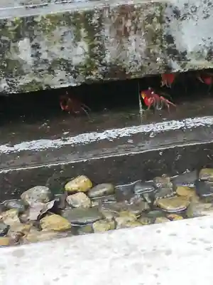 伊美別宮社のその他建物