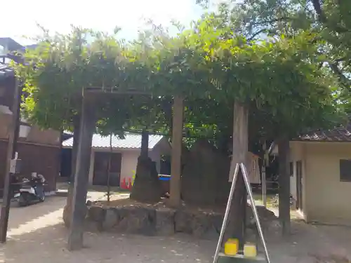藤森神社(京都府)