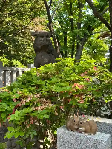 彌彦神社　(伊夜日子神社)の狛犬
