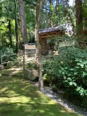 臨済寺の山門・神門