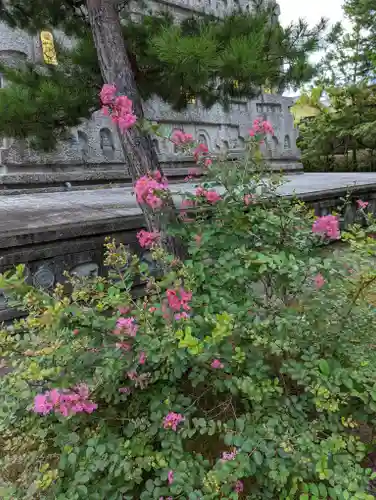 妙満寺(京都府)