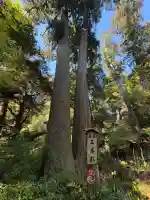 笠森寺(千葉県)