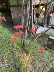 清水寺(千葉県)