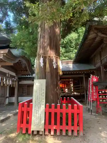 須佐神社・大祖大神社(福岡県)