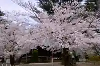 寛永寺(根本中堂)の自然