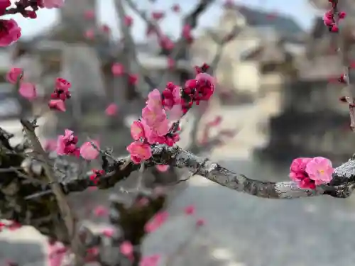 菅生神社の自然