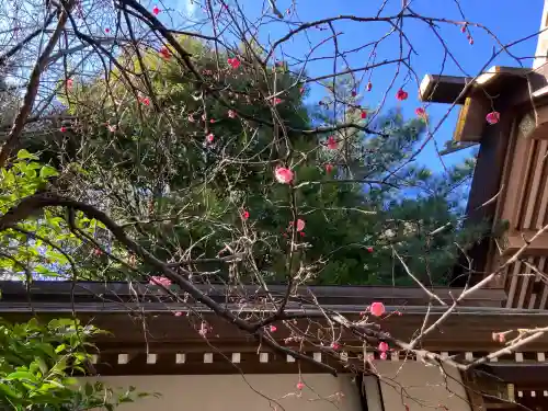 船橋神明神社(東京都)